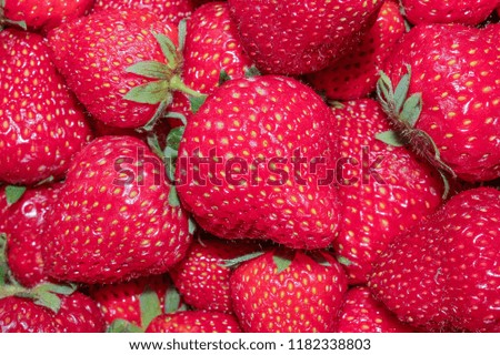 fresh red garden strawberry, background food photo