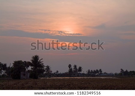 Beautiful Sunrise With Silhouette Trees And Orange Color Sky Background
