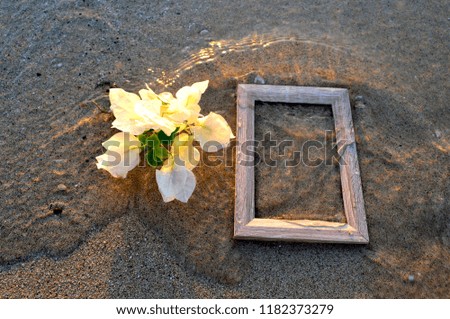 Romantic frame: a wooden photo frame and gentle white flowers in the sea band of the surf.