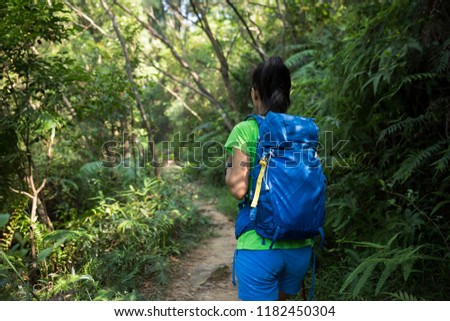Backpacker hiking in sunny tropical rainforest