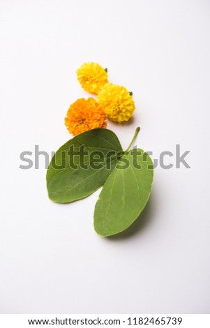 Indian Festival Greeting Card - Happy Dussehra, showing golden leaf and flowers on moody background. .
 Royalty-Free Stock Photo #1182465739