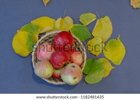 autumn picture including rowanberry apple anf leaves
