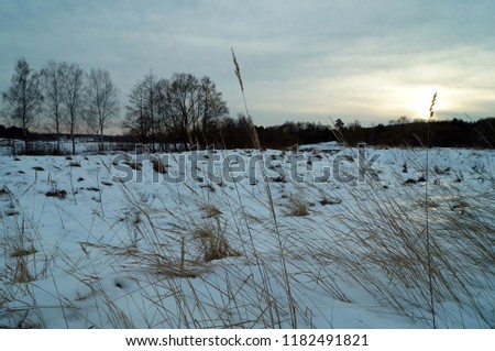         dull winter landscape                       