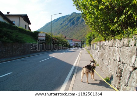 Slovenia. Slovenian Alps. Road and mountain views. Husky walk in Kobarid.