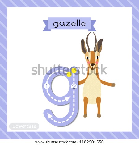 Letter G lowercase cute children colorful zoo and animals ABC alphabet tracing flashcard of Gazelle standing on two legs for kids learning English vocabulary and handwriting vector illustration.