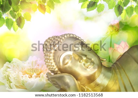 double exposure of the lotus flower or water lily and face of buddha statue. Buddhism is popular in china japan and thai people so many culture of Thailand involved buddha. The Buddha came from India.