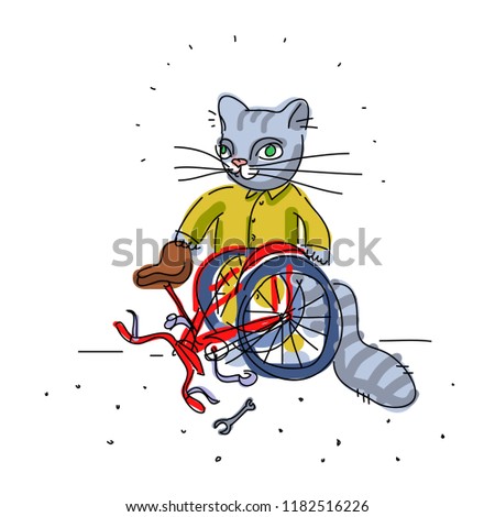 cat collects folding bike