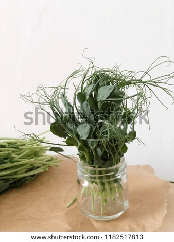 peas microgreens on white backround