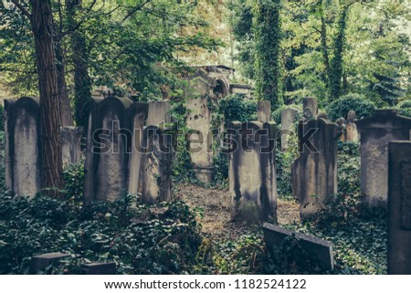 The Old Jewish Cemetery in Wroclaw, formerly known as Breslau, Poland