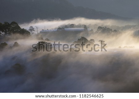 Farm in the magic fog and sunrays at sunrise, artwork done elaborately, landscape and nature at the dawn, great images for printing, advertising, travel magazines and more 