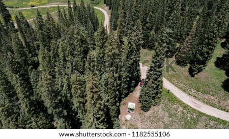 Aerial view looking down at a camping spot in the pine trees next to a winding dirt road