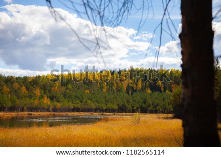 lake in autumn forest against blue sky landscape