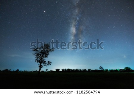 silhouette tree in the field. with Milky way, long exposure. image contain grains and noise due to high ISO