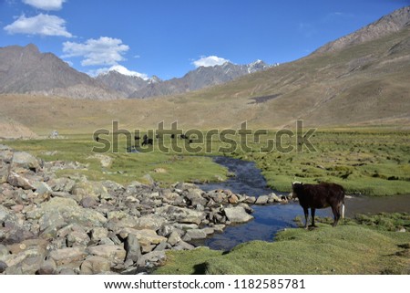 Phander valley in northern Pakistan