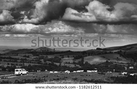 4x4 car driving across scenic hilly countryside with grazing sheep in Stiperstones National Park, United Kingdom. Black and white edit