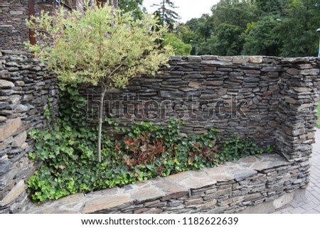 Rock fence with tree