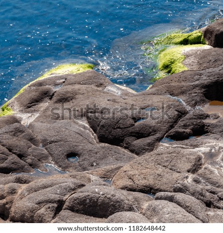 Real photo of waterfront rocks covered with algae