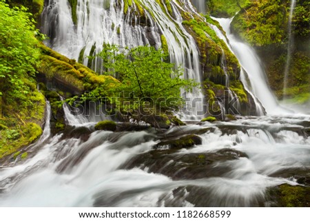 Panther Creek Falls in Washington State flowing in the spring