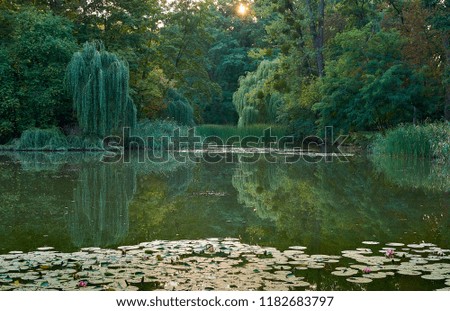 A beautiful pond with water lilies in the park near the Opole zoo Royalty-Free Stock Photo #1182683797