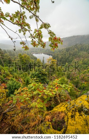 View from a ledge with a chapel into the foggy valley with a lake in the middle of endless forest. The horizon is covered in clouds and fog and a mountain ash shows its red berries.