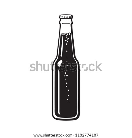 Bottle of beer or soda. Hand drawn vector illustration isolated on white background.