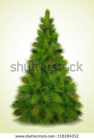 Christmas tree, realistic vector illustration