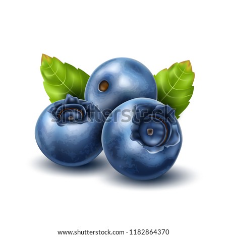 Vector realistic raw blueberry with green leaves. Ripe fruits full of nutritions and vitamins, juicy fresh cooking ingredient. Vector 3d healthy natural food, organic agriculture symbol Royalty-Free Stock Photo #1182864370