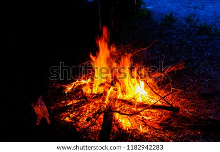 Flames in a bonfire,The bright flames