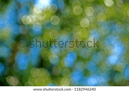 Abstract blur of green leaf