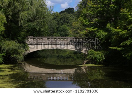 Bridge in the Center of River