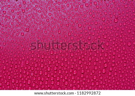 Close up water drops on pink tone background. Abstarct purple wet texture with bubbles on window glass surface. Raindrop, Realistic pure water droplets condensed for creative banner design. Red Violet