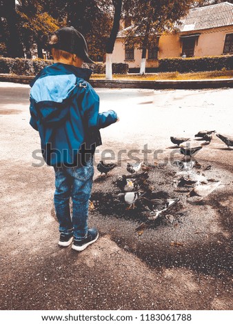 the boy feeds the pigeons