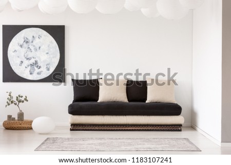 Pillows on black sofa near carpet in white living room interior with plant and moon poster. Real photo
