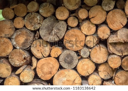 Texture of a round wood