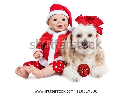 Christmas Baby and Maltese Puppy