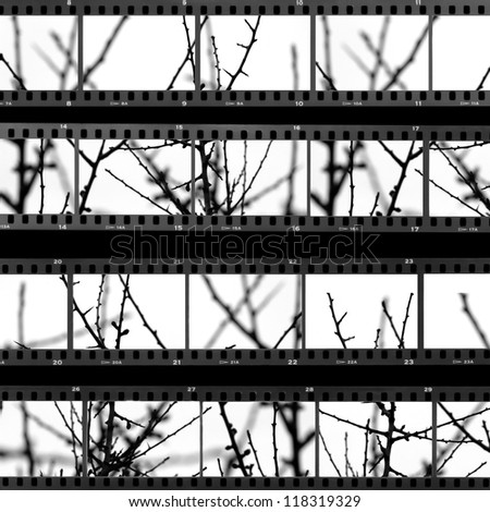 Contact sheet with photos of tree branches and twigs. Abstract background. Royalty-Free Stock Photo #118319329