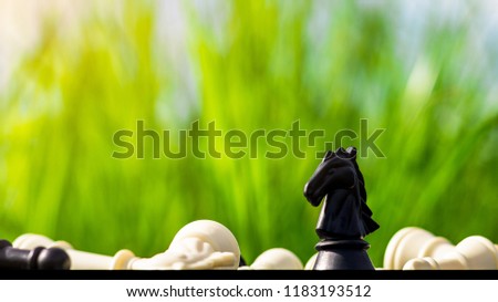Black horse chess stand alone on a chessboard. - Business leader and fight concept.