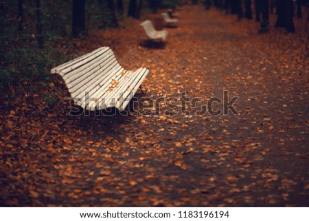 A bench in the park. Autumn. Moscow. Russia.