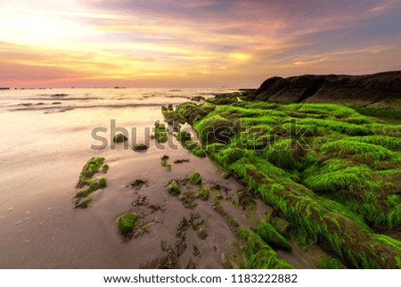 View of Breathtaking sunset seascape at Kudat, Malaysia. Vibrant sunset sky with rocks covered by green moss on the foreground. soft focus due to long expose.