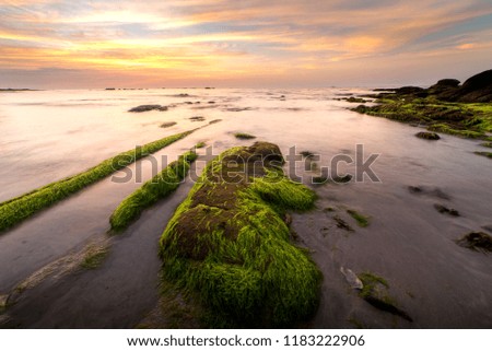 View of Breathtaking sunset seascape at Kudat, Malaysia. Vibrant sunset sky with rocks covered by green moss on the foreground. soft focus due to long expose.