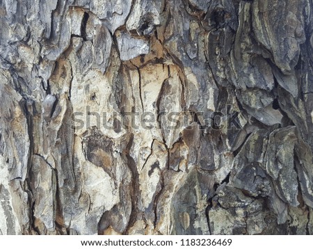 The background is made of brown bark with patterns.