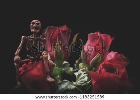 Skeleton sitting on withered rose on a black background.