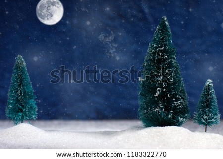 Christmas card with a winter forest in a moonlit night.