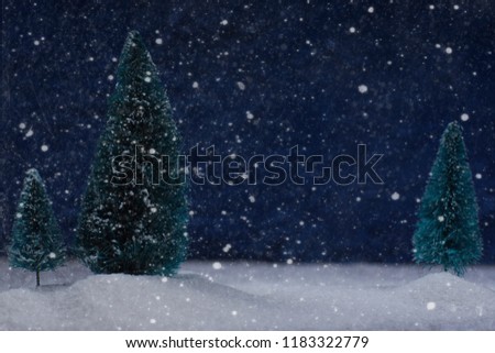 Christmas card with winter forest at night in the snow