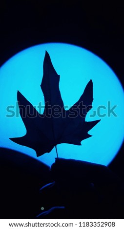 Leaf in Hand Moon Silhouette Halloween