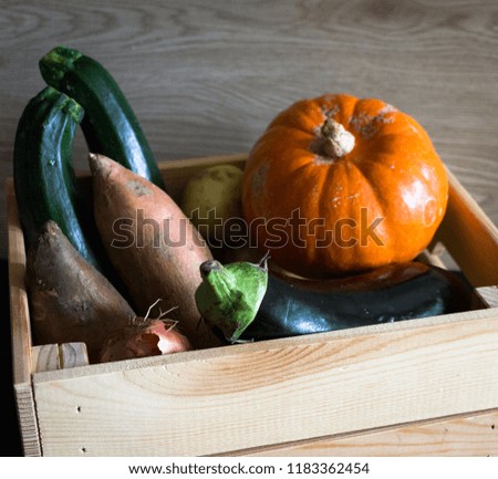 Crate showing autumn vegetables, like pumpkin, sweet potato.. with a light background