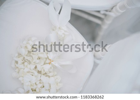 Flowers composition Flowers white