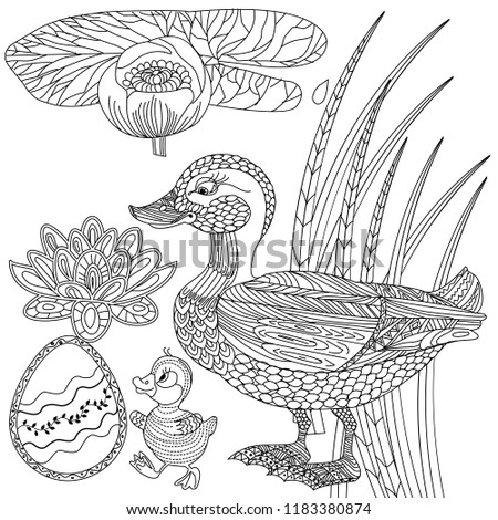 Coloring Pages. Coloring Book for adults. Colouring pictures with bird. Antistress freehand sketch drawing with doodle and zentangle elements.