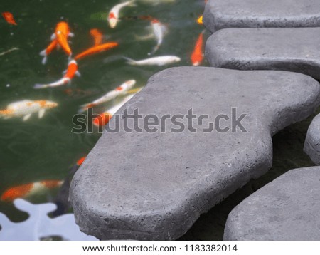 Stone walkway curved in the garden with fish pond.