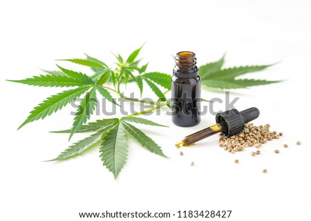 Bottle of cannabis oil with leafs and seeds Royalty-Free Stock Photo #1183428427